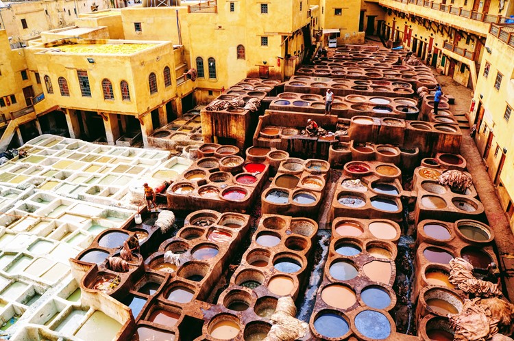 De leerlooierijen van Fes - Marokko